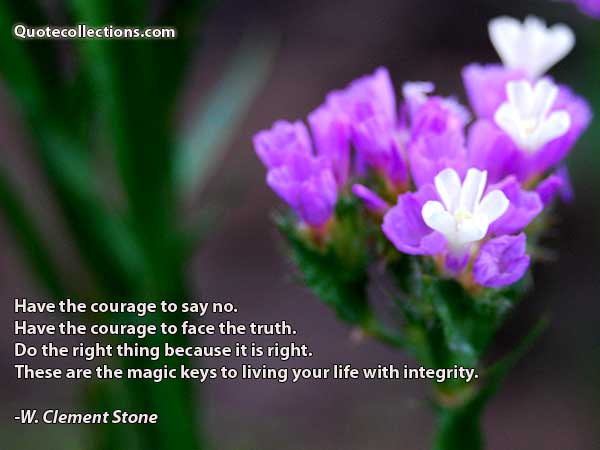 W.Clement Stone Quotes5